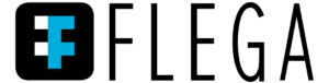 2023 play website logo flega