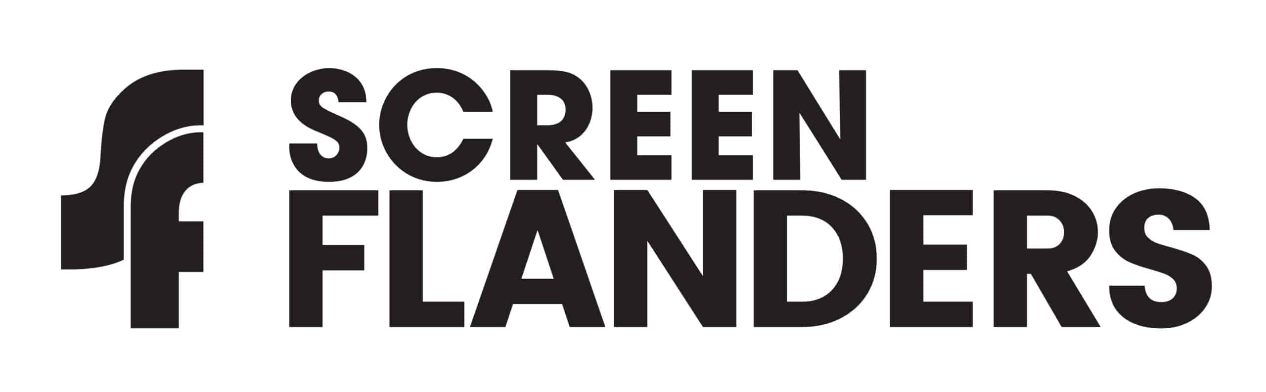 Screen Flanders | Hub.Brussels