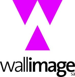 2023 play website logo wallimage