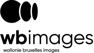 2023 play website logo wbimages